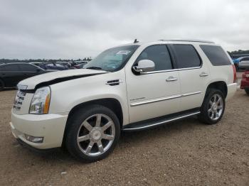  Salvage Cadillac Escalade