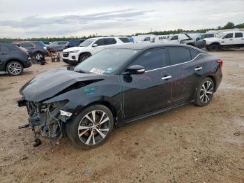  Salvage Nissan Maxima