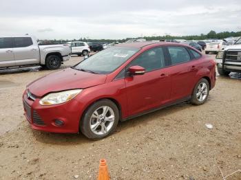  Salvage Ford Focus