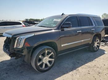  Salvage Cadillac Escalade