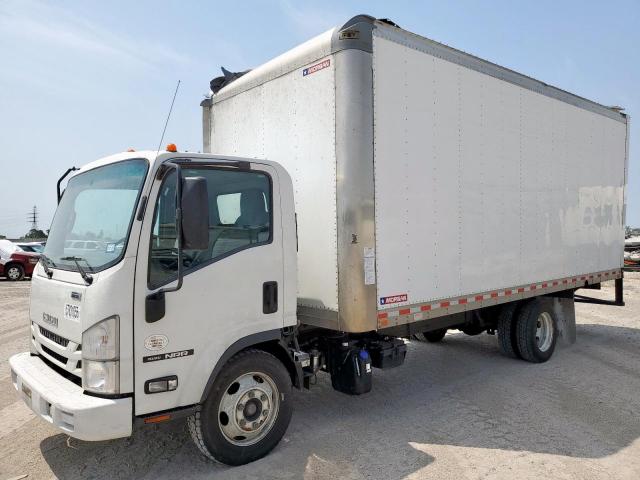  Salvage Isuzu Nrr