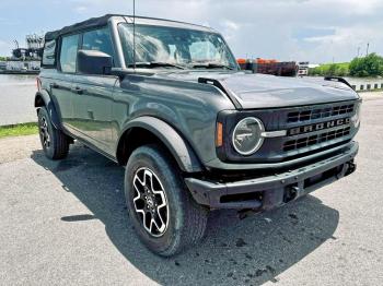  Salvage Ford Bronco