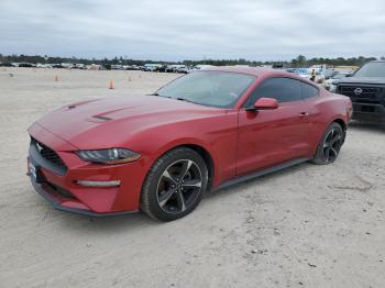  Salvage Ford Mustang