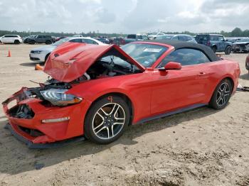  Salvage Ford Mustang