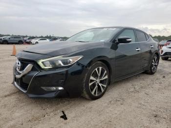  Salvage Nissan Maxima