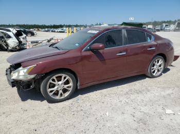  Salvage Nissan Maxima
