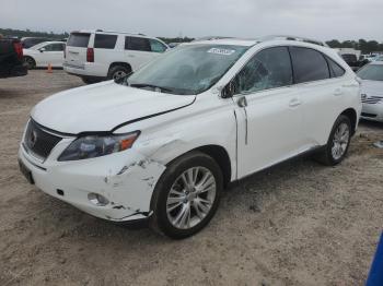  Salvage Lexus RX