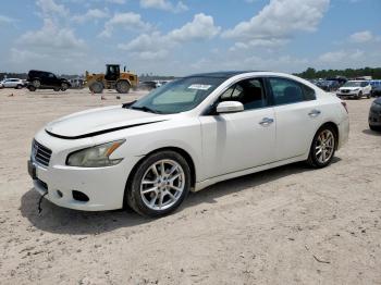  Salvage Nissan Maxima