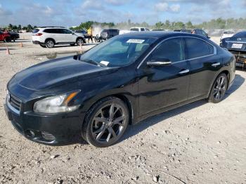  Salvage Nissan Maxima