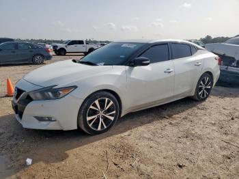  Salvage Nissan Maxima