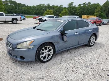  Salvage Nissan Maxima