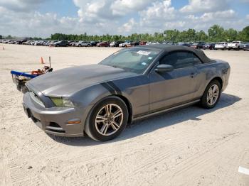  Salvage Ford Mustang