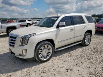  Salvage Cadillac Escalade