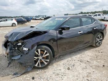  Salvage Nissan Maxima