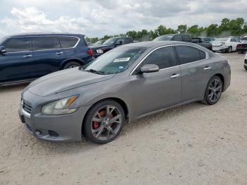  Salvage Nissan Maxima