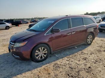  Salvage Honda Odyssey