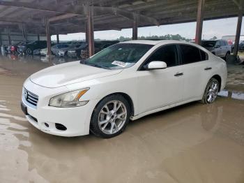  Salvage Nissan Maxima
