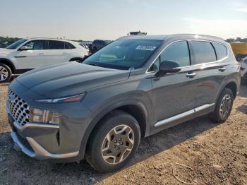 Salvage Hyun SANTA FE