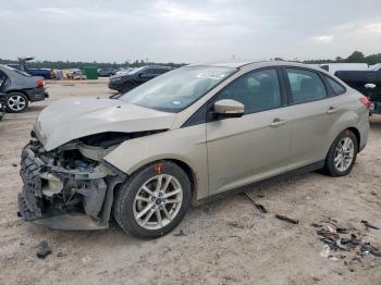  Salvage Ford Focus