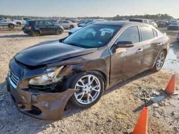  Salvage Nissan Maxima