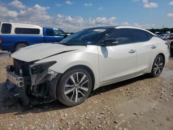  Salvage Nissan Maxima