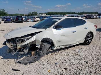  Salvage Nissan Maxima