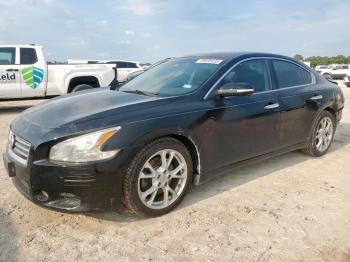  Salvage Nissan Maxima