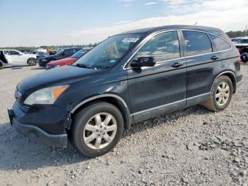  Salvage Hond Crv
