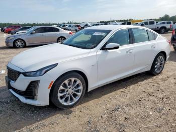  Salvage Cadillac CT5