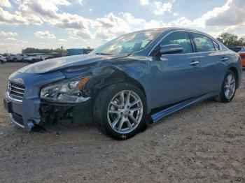  Salvage Nissan Maxima
