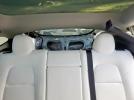 Tesla Model Y Image 4