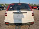 Honda Crv Lx Image 6
