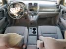 Honda Crv Lx Image 12