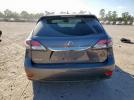 Lexus RX 350 Image 6