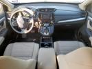 Honda Crv Lx Image 4