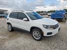 Volkswagen Tiguan Image 2