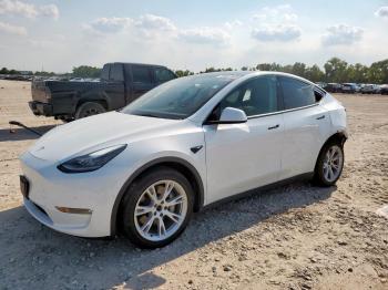 Salvage Tesla Model Y
