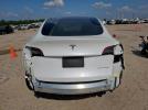 Tesla Model Y Image 5