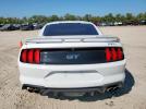 Ford Mustang Gt Image 11