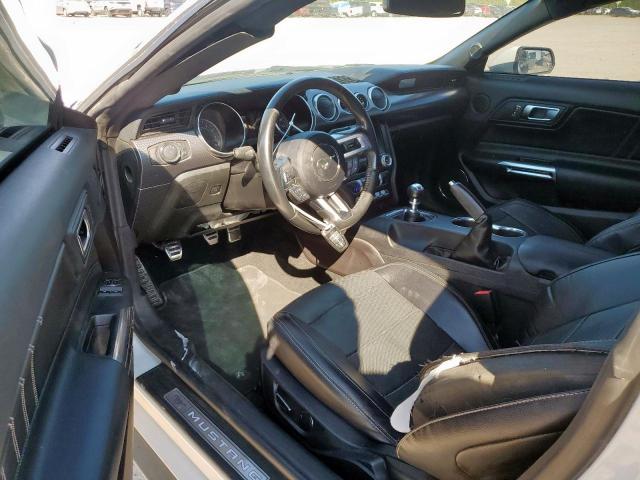 Ford Mustang Gt Image 6