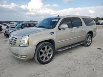  Salvage Cadillac Escalade