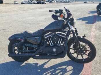  Salvage Harley-Davidson Xl883 N