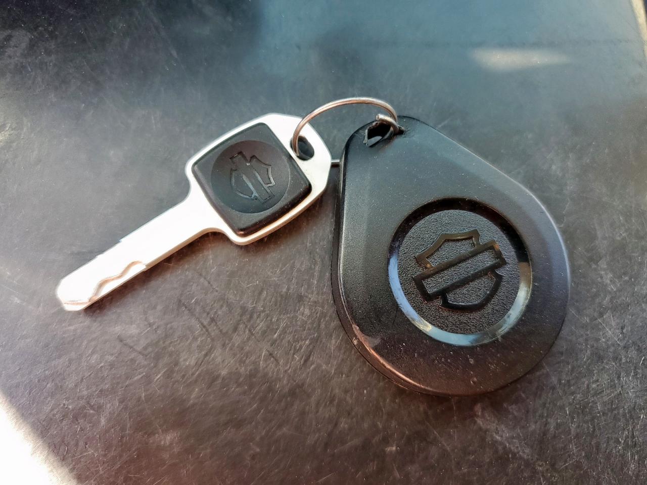 Harley-Davidson Fxbbs Image 3