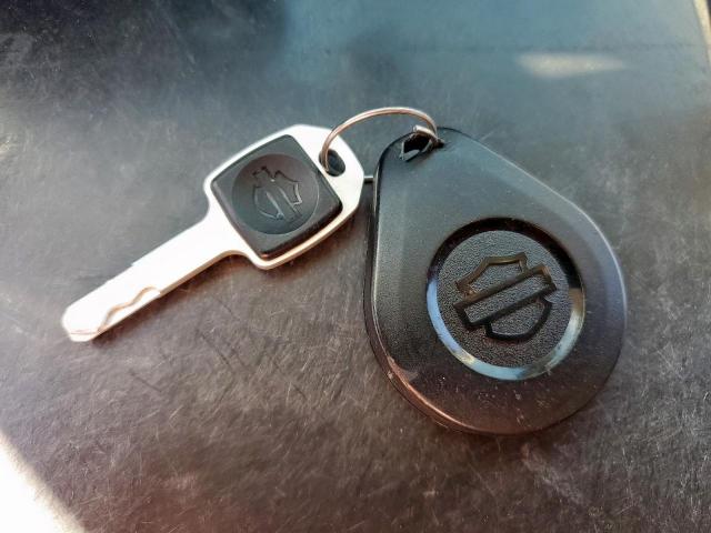 Harley-Davidson Fxbbs Image 3