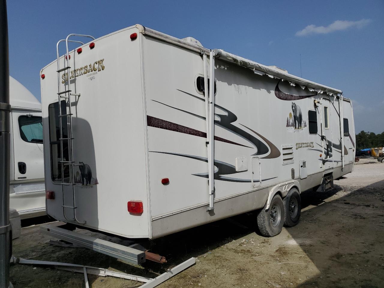 Cedr Silverback Image 3