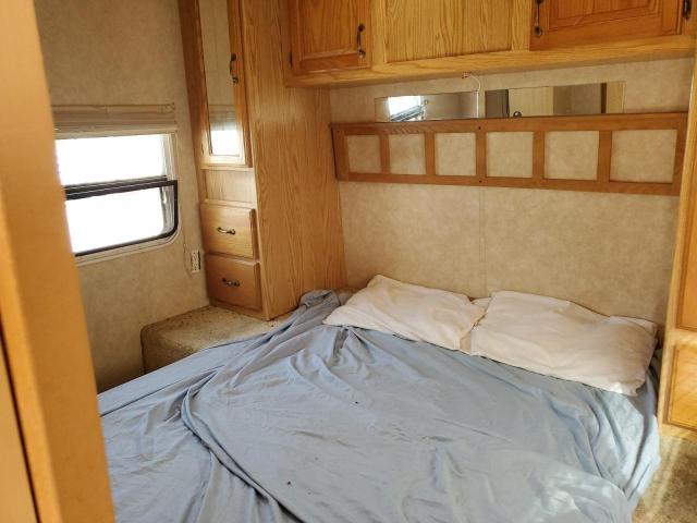 Cedr Silverback Image 4