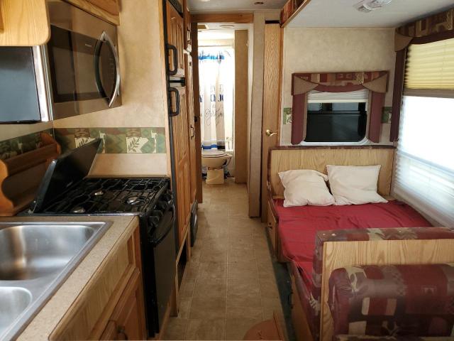 Cedr Silverback Image 9