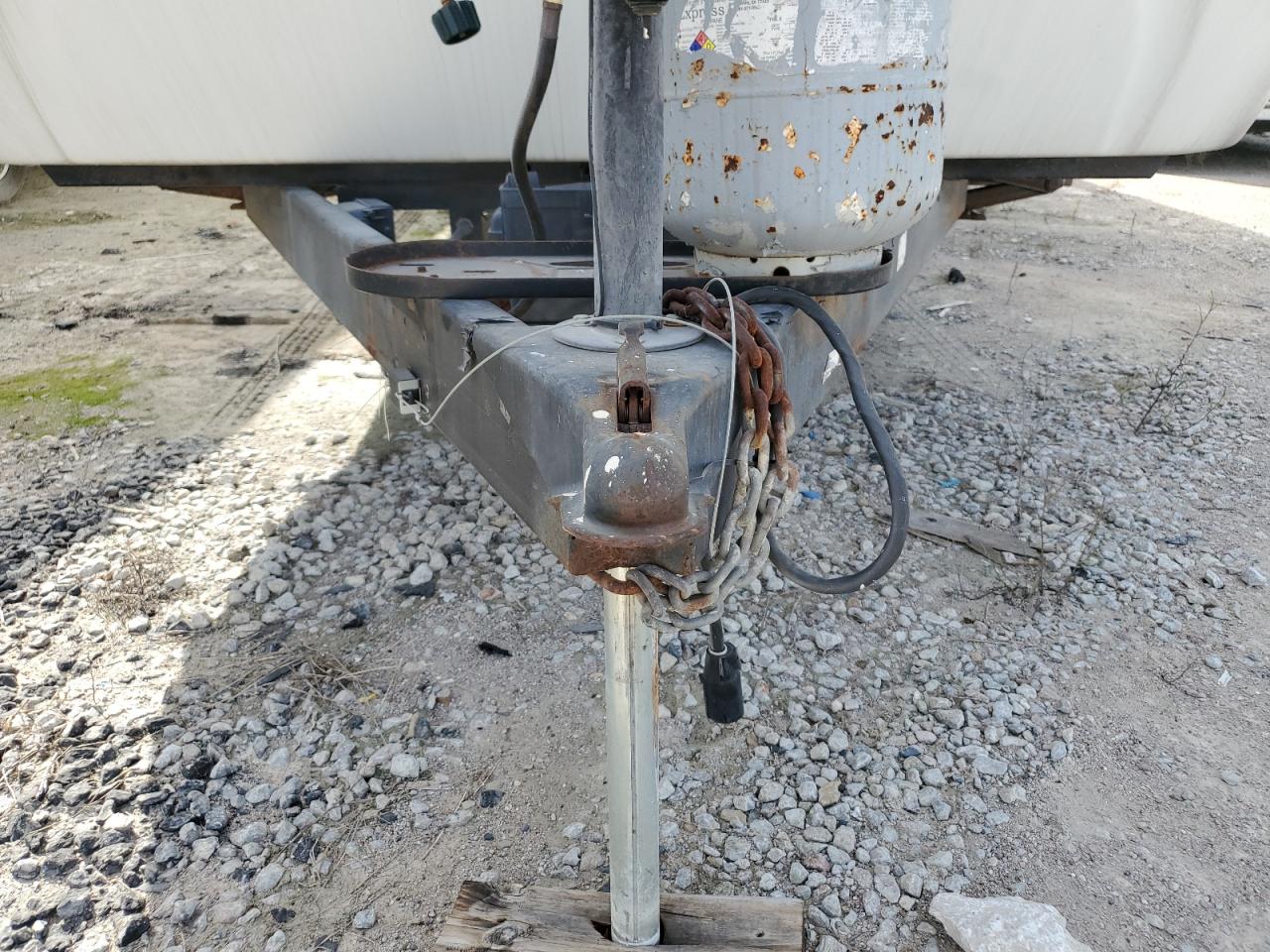 Cedr Silverback Image 8