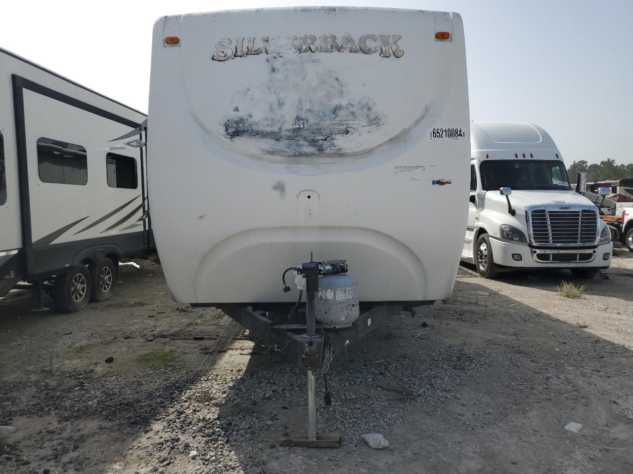 Cedr Silverback Image 6