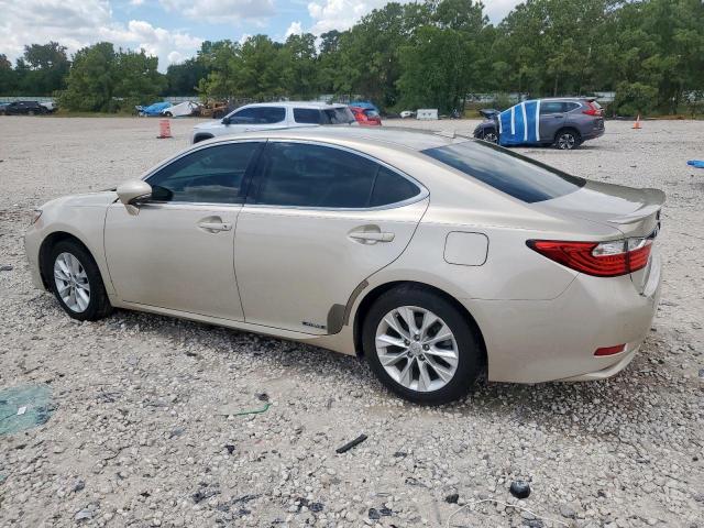 Lexus Es 300h Image 3